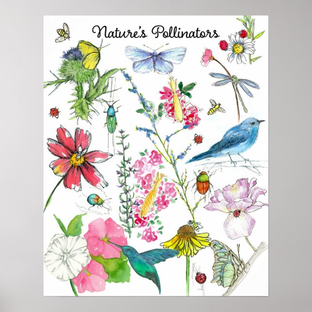 Nature Pollinators Honeybee Birds Insektra Flowers Poster (Framsidan)