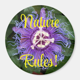 Nature Regler Lila Passionblomma stäng upp Magnet