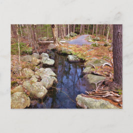 Nature Stream Vykort