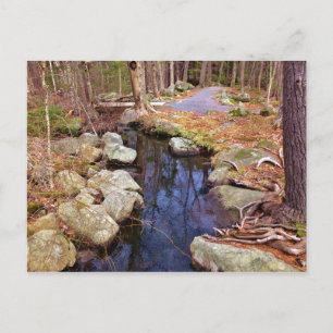 Nature Stream Vykort