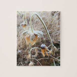 Nature Toubeckia Jackat i morgonfrost Pussel