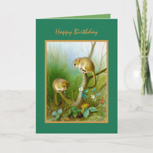 Nature Vilda djur Cute Animals Grattis på födelsed Kort