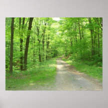 Nature Walk