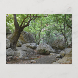 Nature Walk vycard Vykort