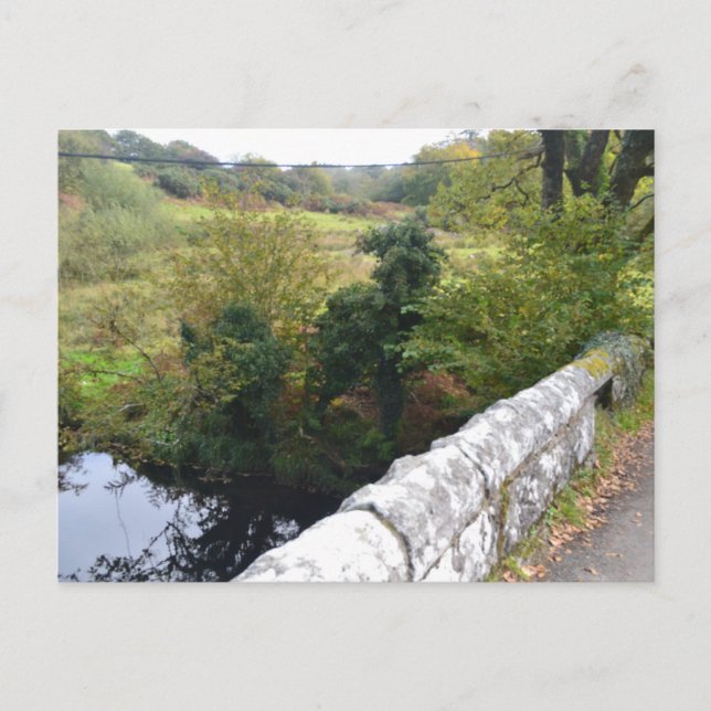 nature way of impersonating animalHoliday Postcard Helg Vykort (Framsida)