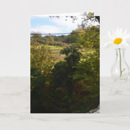 nature way of impersonating animals kort