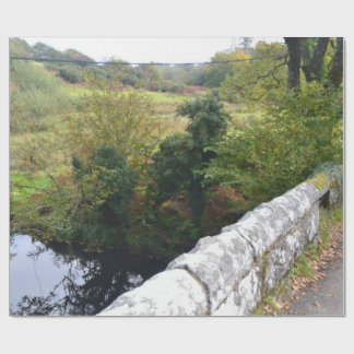 nature way of impersonating animals presentpapper