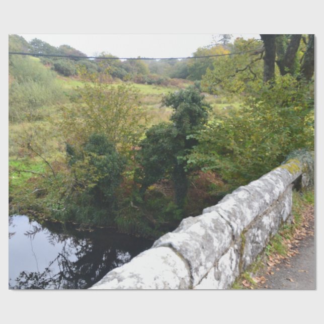 nature way of impersonating animals presentpapper (Platt)