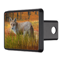 Nature Wildlife Red Fox Fall Season Dragkroksskydd