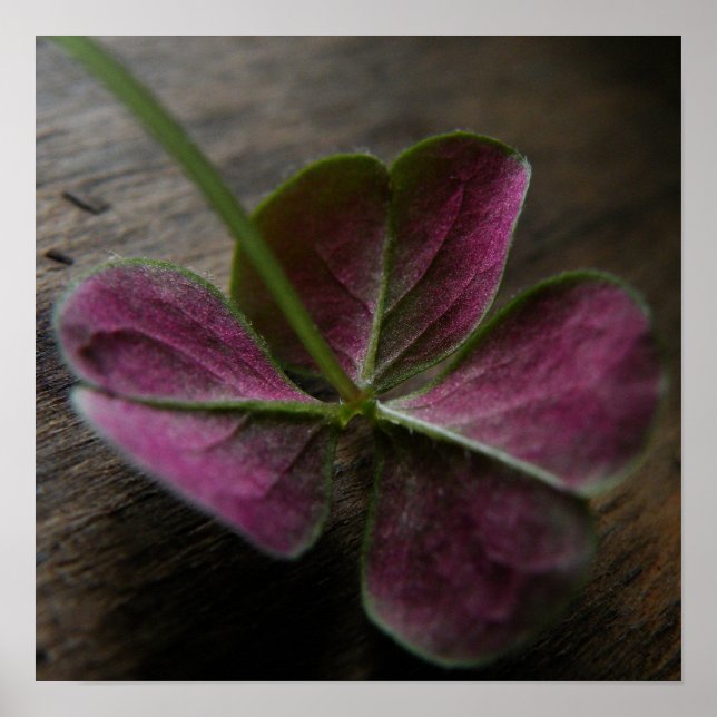 "naturelovesyou"-Kanvastrycket Poster (Framsidan)