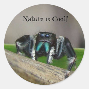 Naturen är Coola! Runt Klistermärke