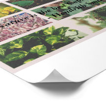 "Naturen är den bästa kapitalisten jag känner."