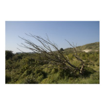 Naturen är ensam ibland