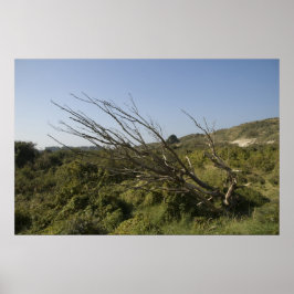 Naturen är ensam ibland poster