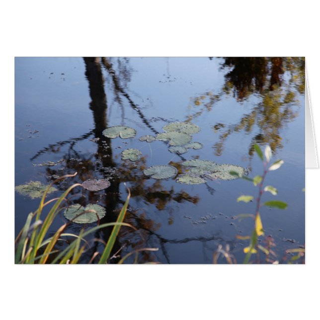 Naturen är ett språk.. hälsningskort (Framsidan Horizontal)