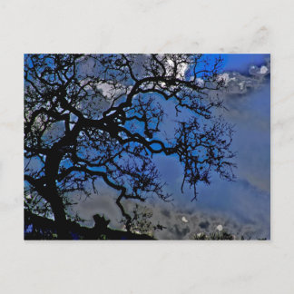 Naturen är föråldrad vykort