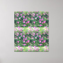 Naturen är vacker, färglös, färglös, rosenfärgad