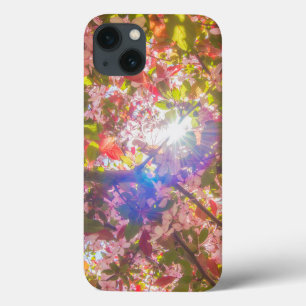 Naturen blommar ljusblomma sol