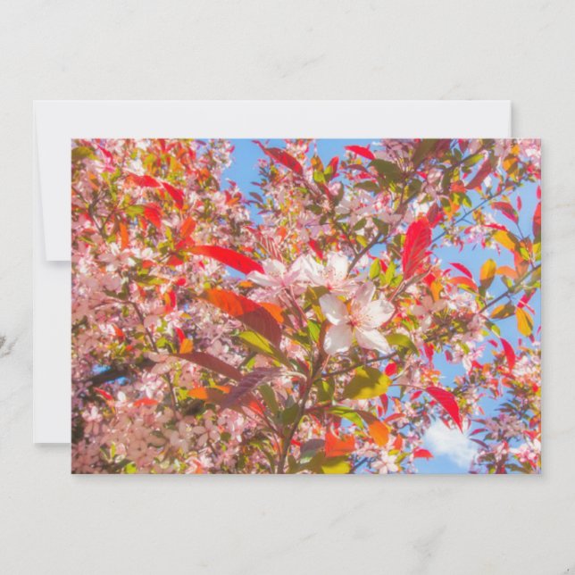 Naturen blommar ljusblomma sol inbjudningar (Framsida)