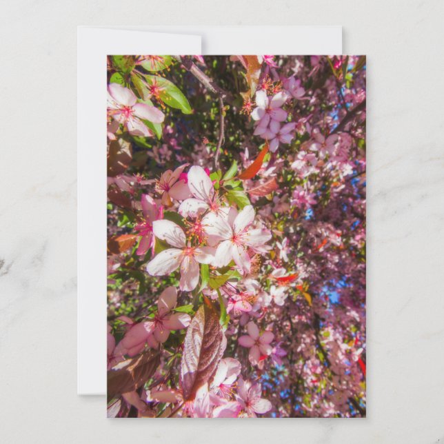 Naturen blommar ljusblomma sol inbjudningar (Framsida)