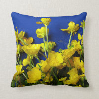 Naturen fotograferar; buttercups