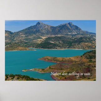 Naturen gör ingenting förgäves poster