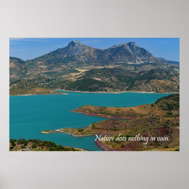 Naturen gör ingenting förgäves poster (Framsidan)