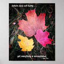 Naturen har ingen brådska - allt är färdigt!