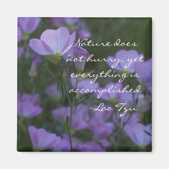 naturen har inte bråttom magnet (Framsidan)