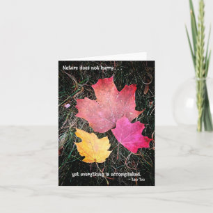 Naturen skyndar inte - allt blir gjort! kort