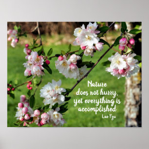 Naturen skyndar inte upp inspirationsofferten poster