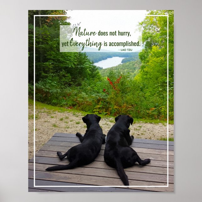 Naturen skyndar sig inte - livinspirationsoffert poster (Framsidan)