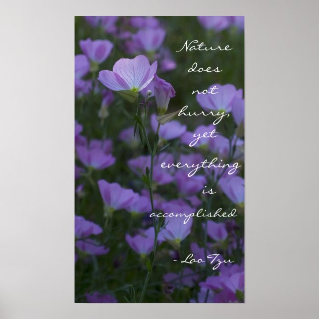 "Naturen skyndar sig inte" Poster (Framsidan)