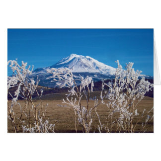 Naturen talar bokomslag avbildar hälsningskort