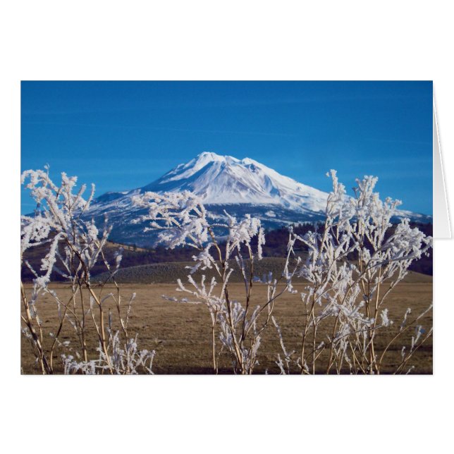 Naturen talar bokomslag avbildar hälsningskort (Framsidan Horizontal)