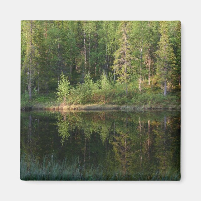 Naturens anpassningsbar för reflektioner magnet (Framsidan)