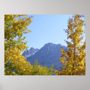 Naturens arbetsyta poster