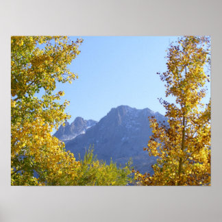 Naturens arbetsyta poster