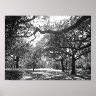 Naturens arbor poster