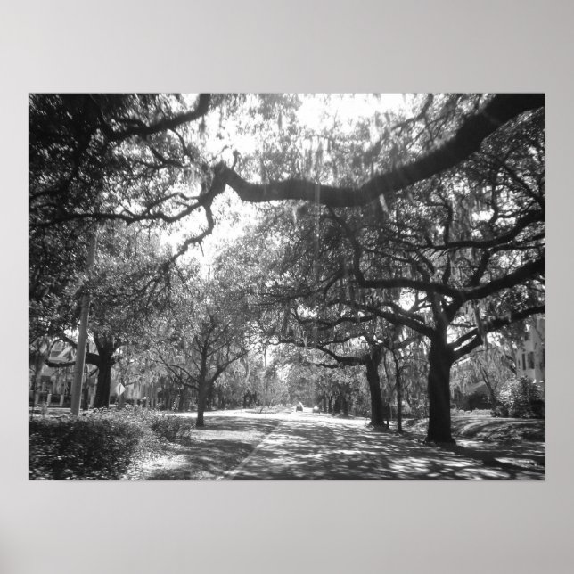 Naturens arbor poster (Framsidan)