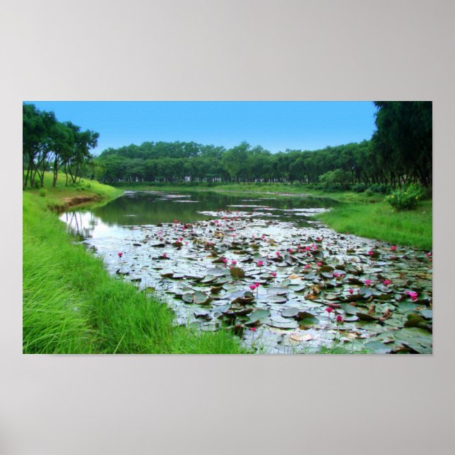 Naturens beröring poster (Framsidan)
