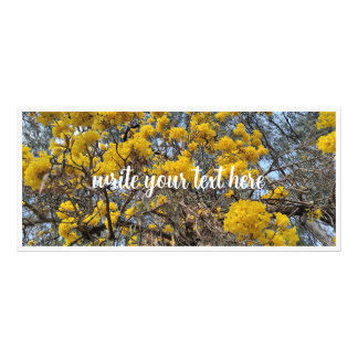 Naturens blomning reklamkort
