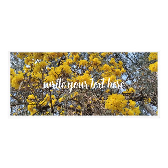 Naturens blomning reklamkort (Framsidan)