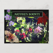 Naturens Bounty Vild Berries Woodland Postcard