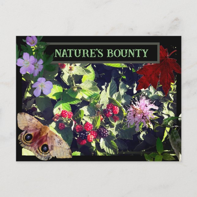 Naturens Bounty Vild Berries Woodland Postcard Vykort (Framsida)