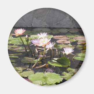 Naturens Bouquet-serie: Sommarmagnet Magnet