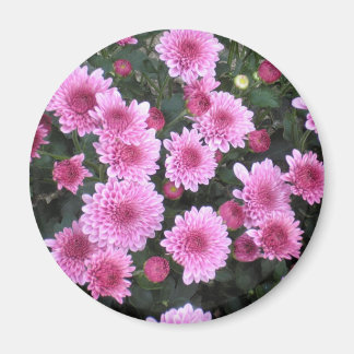 Naturens Bouquet: Vår Magnet