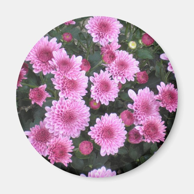 Naturens Bouquet: Vår Magnet (Framsidan)