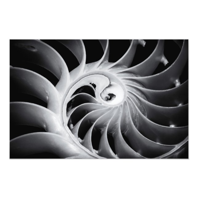 Naturens design fototryck (Framsidan)