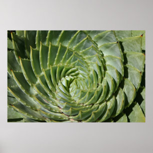 Naturens dödliga sidor poster
